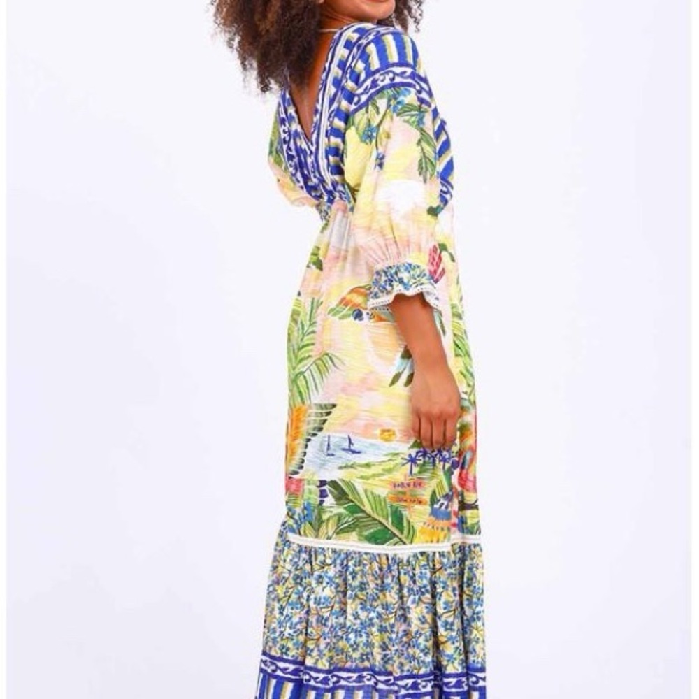 Farm Rio Anthropologie Macaw Flight Maxi Dress Sz S US 4 - Picture 4 of 10
